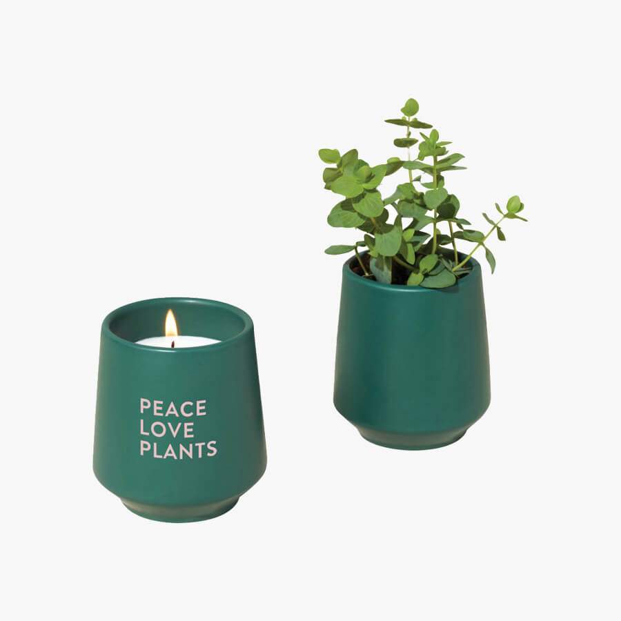 Modern Sprout® Rooted Candle