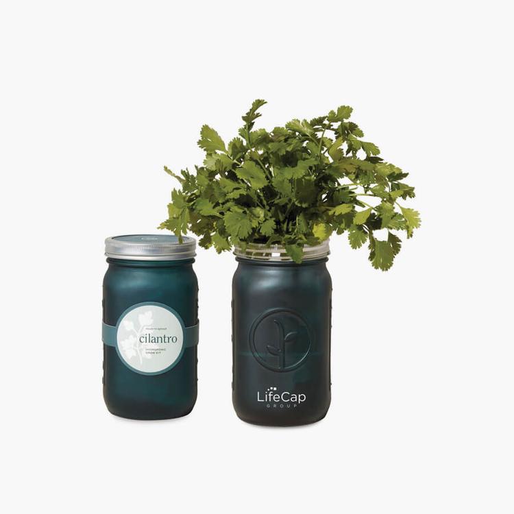 Modern Sprout® Indoor Herb Garden Kit HALO Branded Solutions